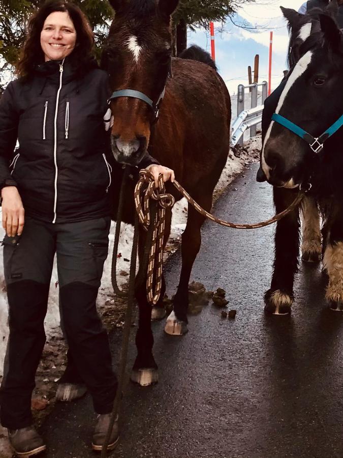 Au Pre Des Chevaux Bed & Breakfast Chateau-d'Oex Eksteriør bilde