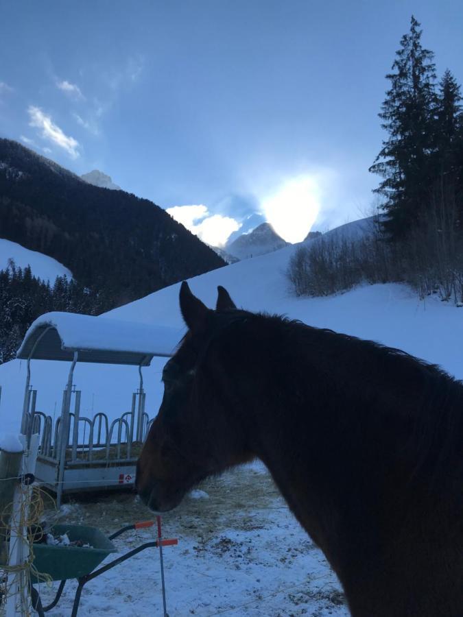 Au Pre Des Chevaux Bed & Breakfast Chateau-d'Oex Eksteriør bilde