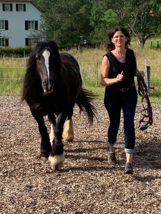 Au Pre Des Chevaux Bed & Breakfast Chateau-d'Oex Eksteriør bilde