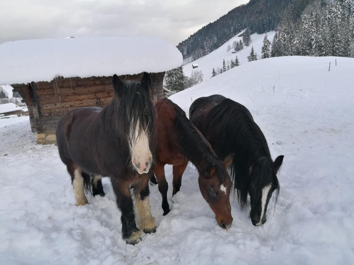 Au Pre Des Chevaux Bed & Breakfast Chateau-d'Oex Eksteriør bilde