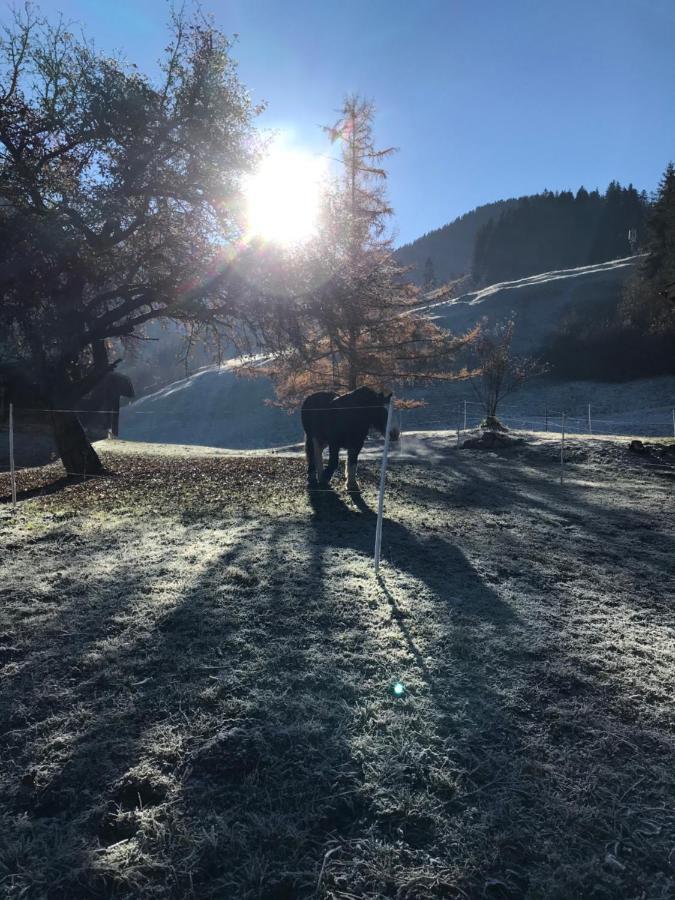 Au Pre Des Chevaux Bed & Breakfast Chateau-d'Oex Eksteriør bilde