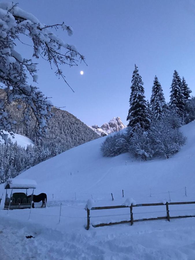 Au Pre Des Chevaux Bed & Breakfast Chateau-d'Oex Eksteriør bilde