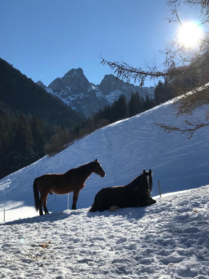 Au Pre Des Chevaux Bed & Breakfast Chateau-d'Oex Eksteriør bilde