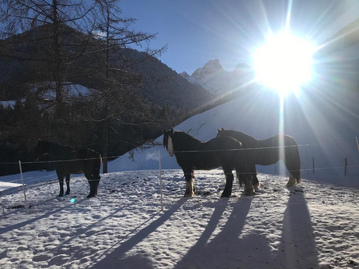 Au Pre Des Chevaux Bed & Breakfast Chateau-d'Oex Eksteriør bilde