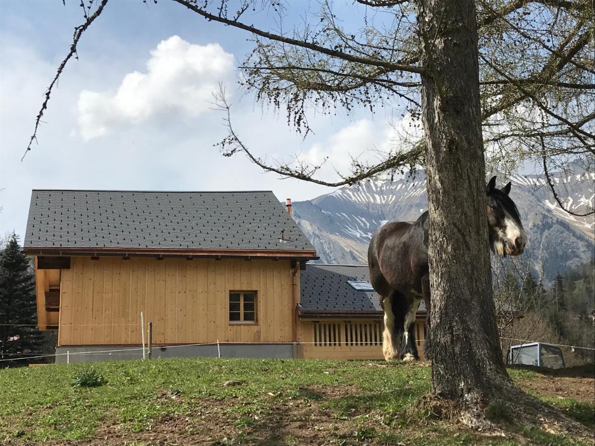 Au Pre Des Chevaux Bed & Breakfast Chateau-d'Oex Eksteriør bilde